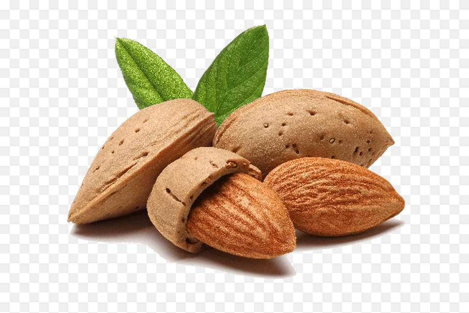 Almond, Food, Grain, Produce, Seed Free Png