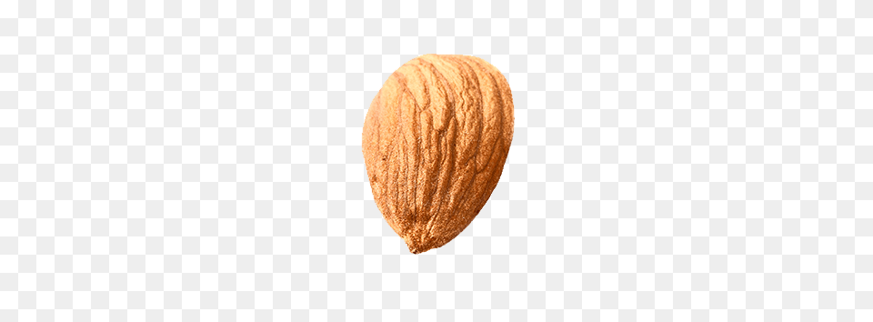 Almond, Produce, Seed, Grain, Food Free Transparent Png