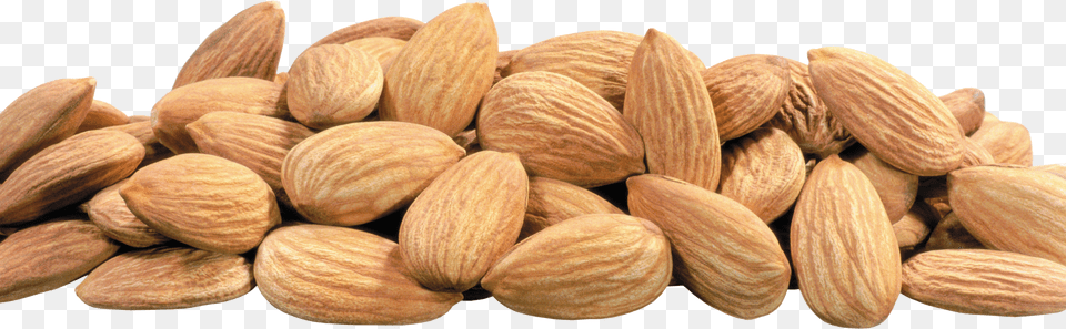 Almond Free Png