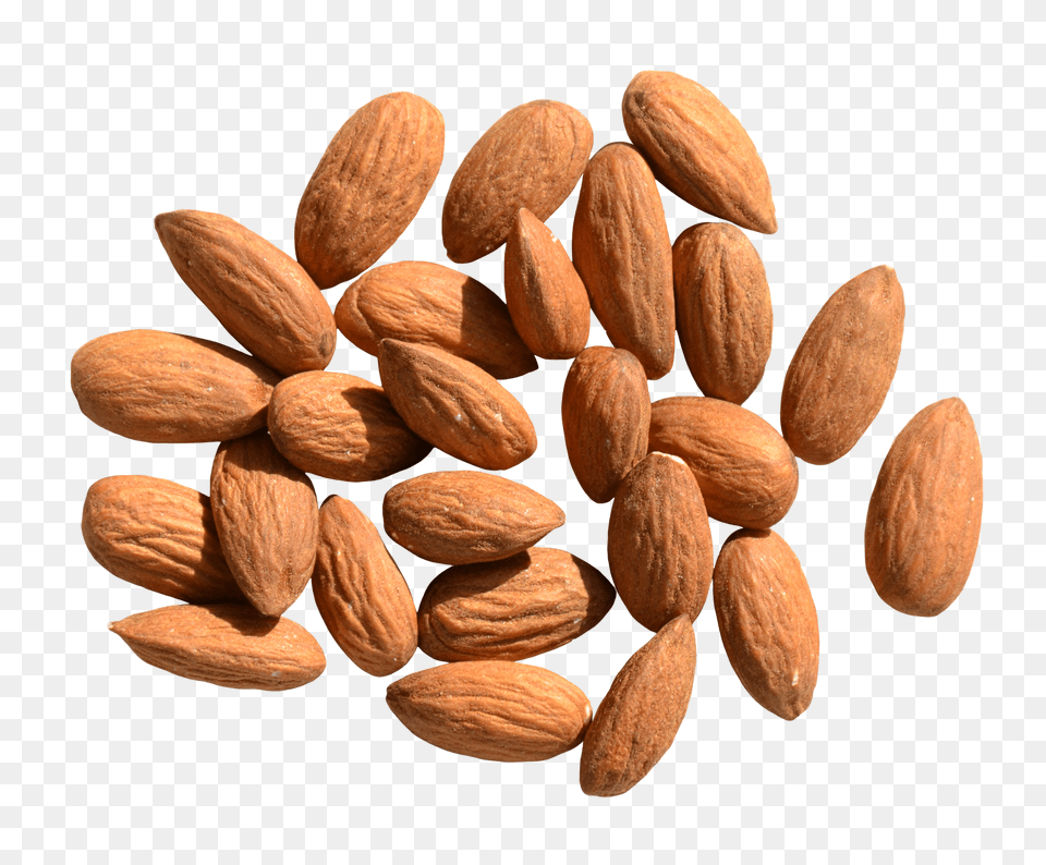 Almond, Food, Grain, Produce, Seed Free Png Download