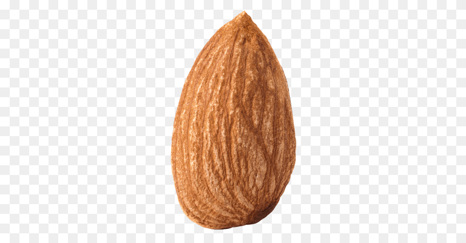 Almond, Food, Produce, Grain, Seed Free Png Download