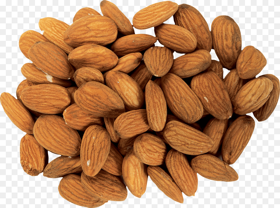 Almond Png Image