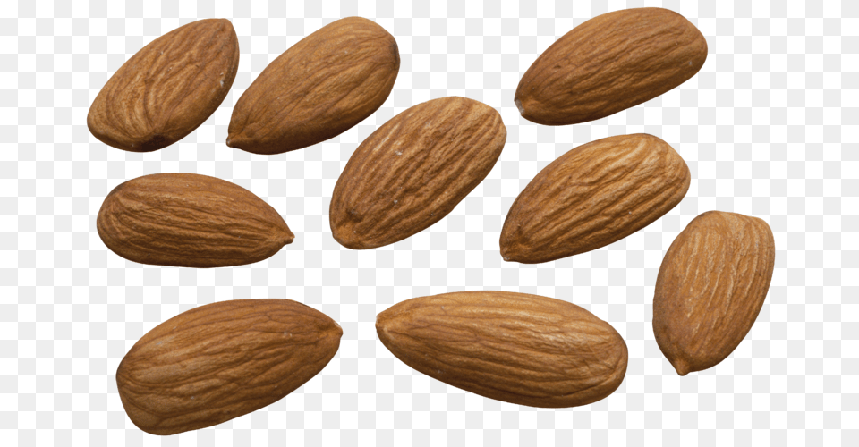 Almond, Food, Grain, Produce, Seed Free Png