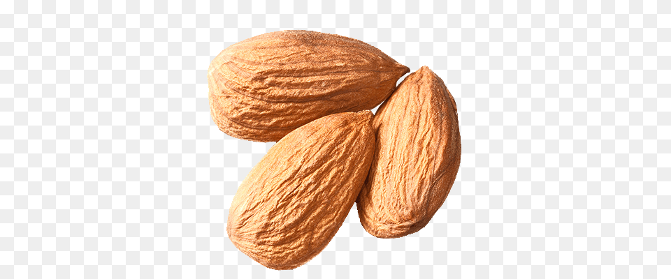 Almond, Food, Produce, Seed, Grain Png