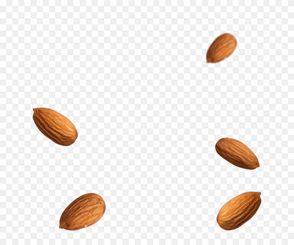 Almond, Produce, Seed, Grain, Food Png