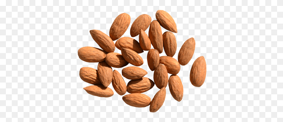 Almond, Food, Grain, Produce, Seed Png