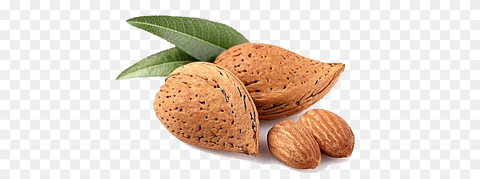 Almond, Food, Grain, Produce, Seed Free Png Download