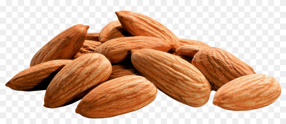 Almond, Food, Grain, Produce, Seed Free Transparent Png