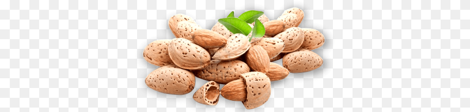 Almond, Food, Grain, Produce, Seed Free Png