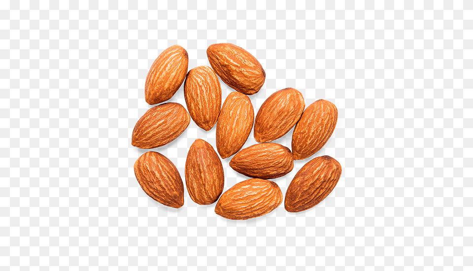 Almond, Food, Grain, Produce, Seed Png
