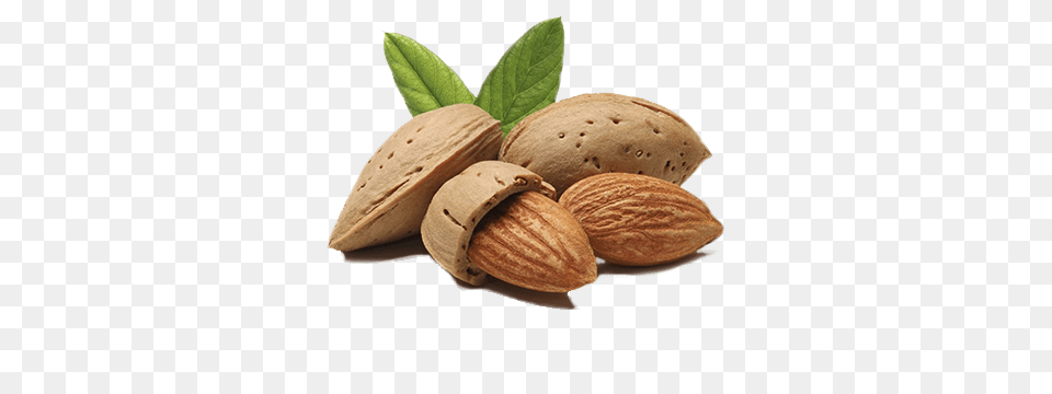 Almond, Food, Grain, Produce, Seed Free Png Download