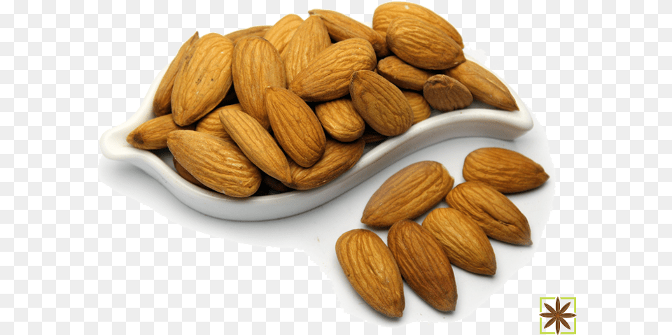 Almond, Food, Grain, Produce, Seed Png Image