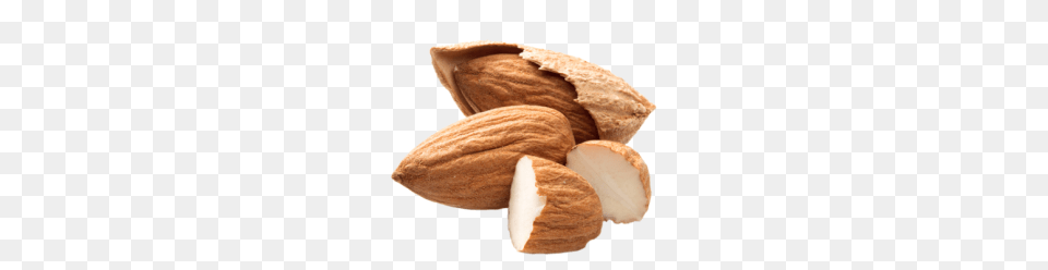 Almond, Food, Grain, Produce, Seed Free Transparent Png