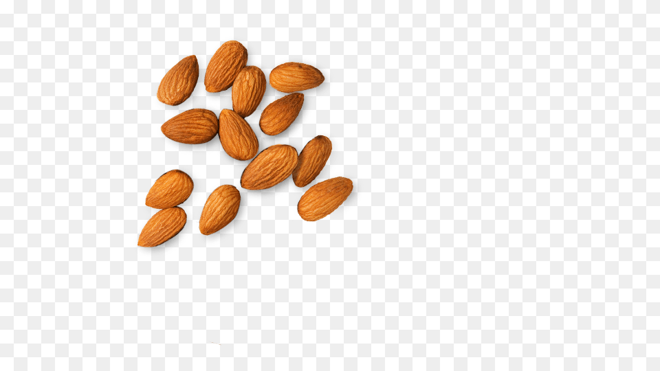 Almond, Food, Grain, Produce, Seed Free Png Download