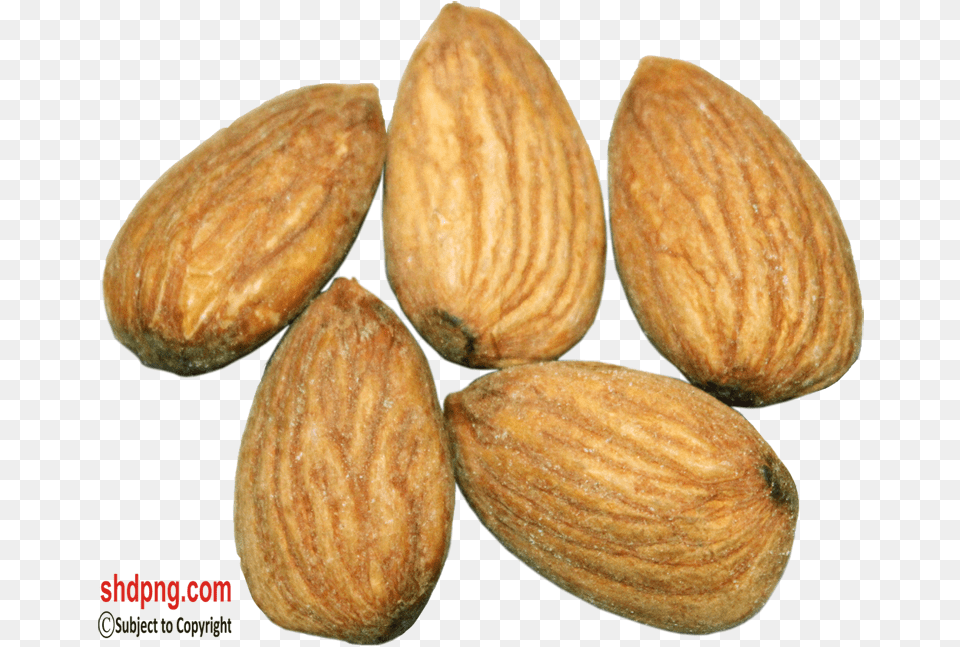 Almond, Bread, Food, Grain, Produce Free Png