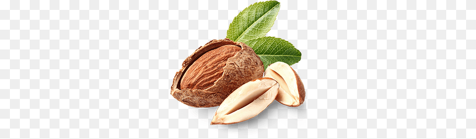 Almond, Food, Produce, Nut, Plant Png Image