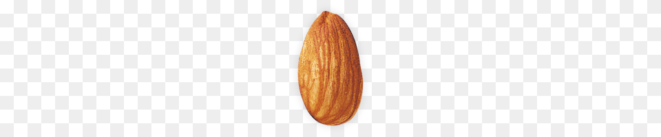 Almond, Food, Grain, Produce, Seed Png