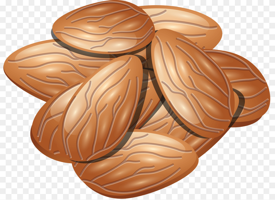 Almond, Food, Grain, Produce, Seed Free Png