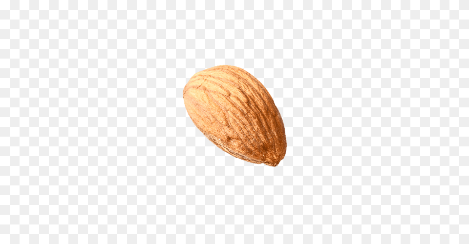 Almond, Food, Grain, Produce, Seed Free Png