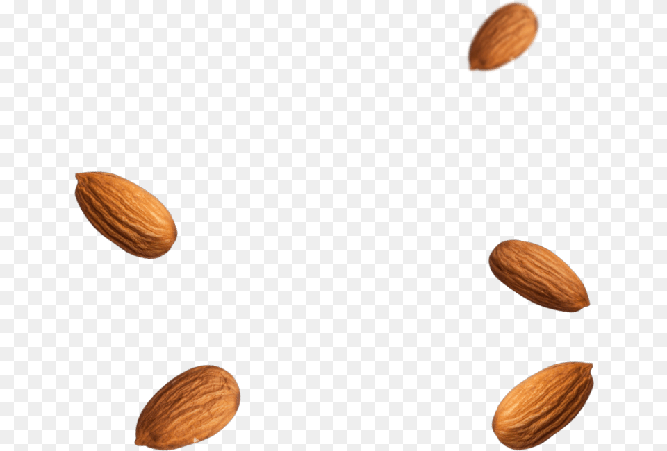 Almond Almond, Food, Grain, Produce, Seed Free Transparent Png