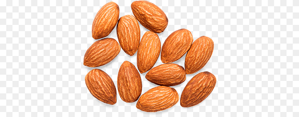 Almond Almond, Food, Grain, Produce, Seed Png