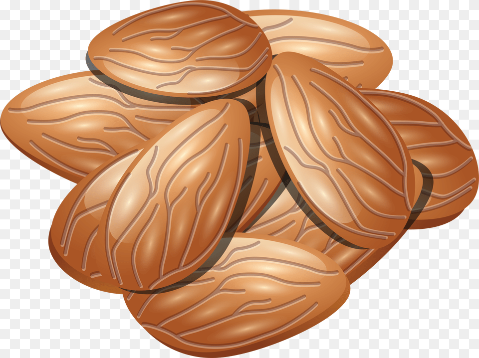 Almond Almond Icon, Food, Grain, Produce, Seed Free Png