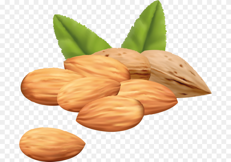 Almond Background Transparent Almond Clipart, Food, Grain, Produce, Seed Free Png Download