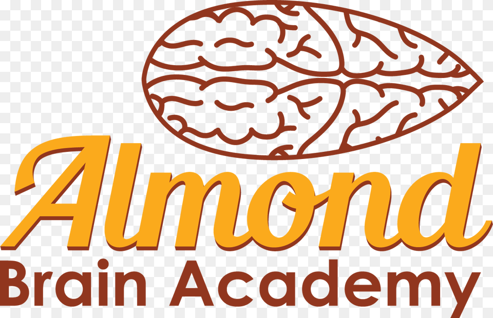 Almond Brain Academy In City, Vegetable, Food, Produce, Nut Png