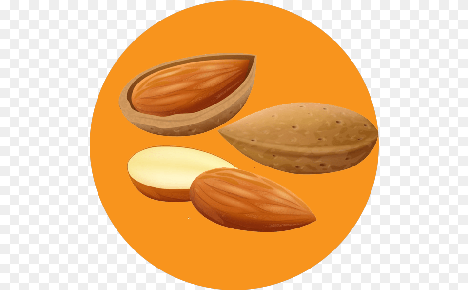 Almond Chocolate, Food, Grain, Produce, Seed Free Png