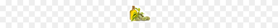 Almond Clipart, Food, Cooking Oil, Produce Free Transparent Png