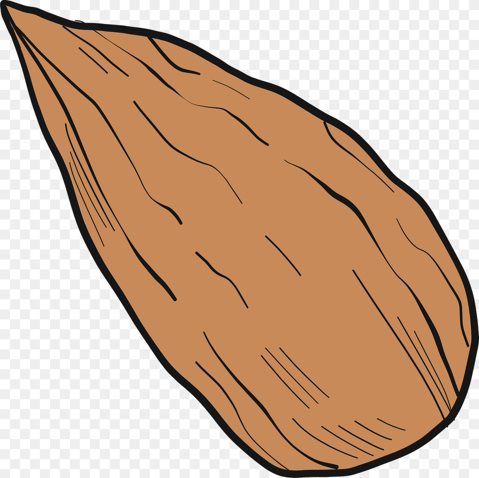 Almond Clipart, Food, Produce, Animal, Fish Free Png