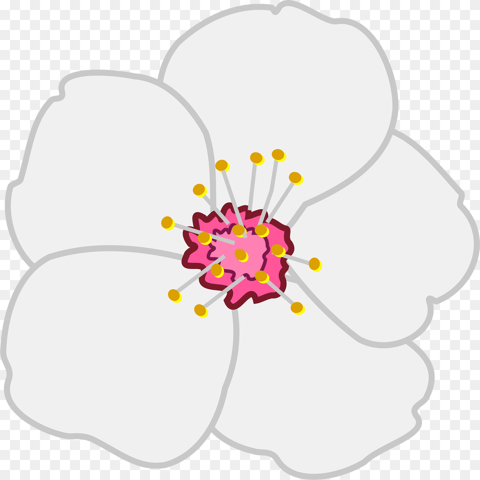 Almond Clipart, Anther, Flower, Plant, Anemone Free Png Download