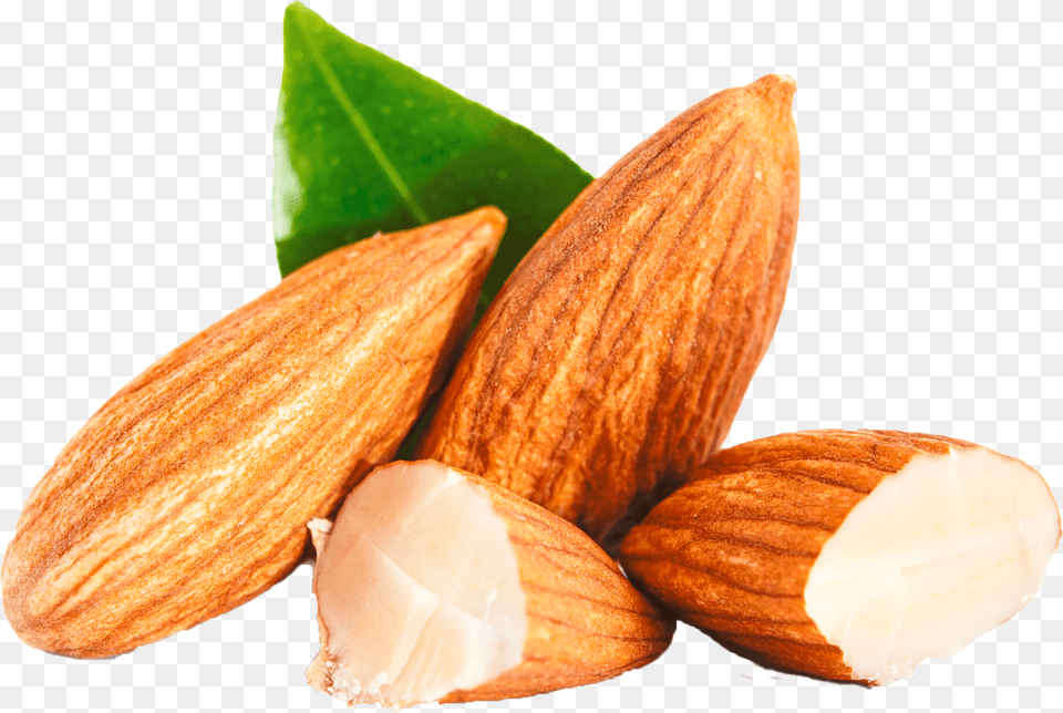 Almond Clipart Almond Clipart, Food, Grain, Produce, Seed Png Image