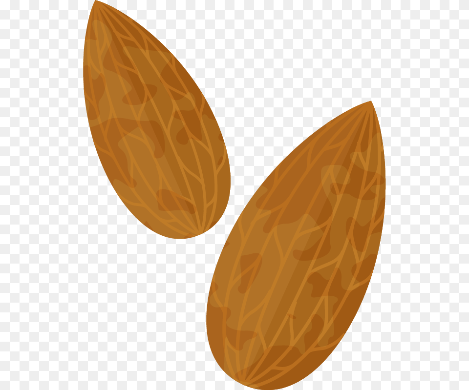 Almond Clipart Image 01 Almond Animated, Food, Grain, Produce, Seed Free Transparent Png