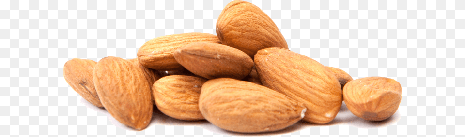 Almond Images Almond, Food, Grain, Produce, Seed Png