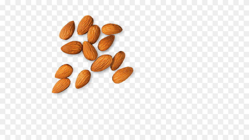 Almond Images Download, Food, Grain, Produce, Seed Free Png