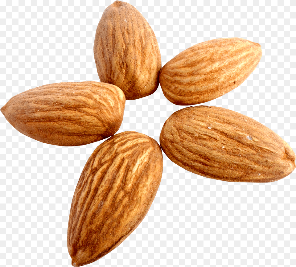 Almond Images Transparent Almond, Food, Grain, Produce, Seed Png