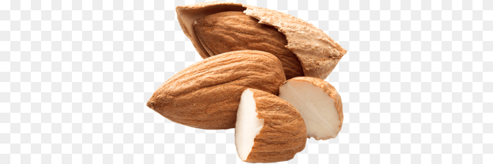 Almond Images Tree Clipart Pieces Of Almond, Food, Grain, Produce, Seed Free Png Download