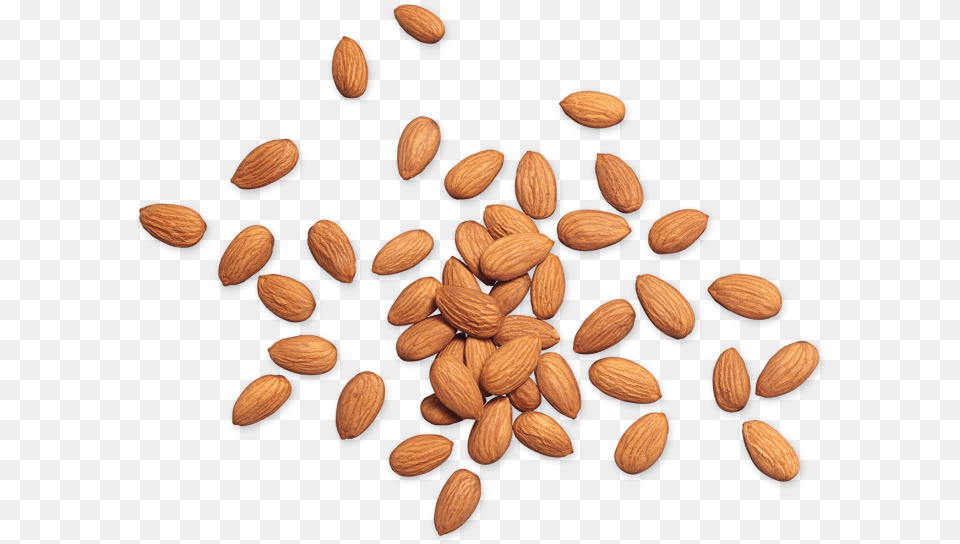 Almond Nuts Top, Produce, Seed, Grain, Food Png