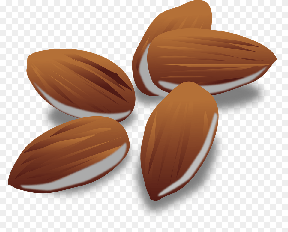Almonds Clipart, Almond, Food, Grain, Produce Free Transparent Png