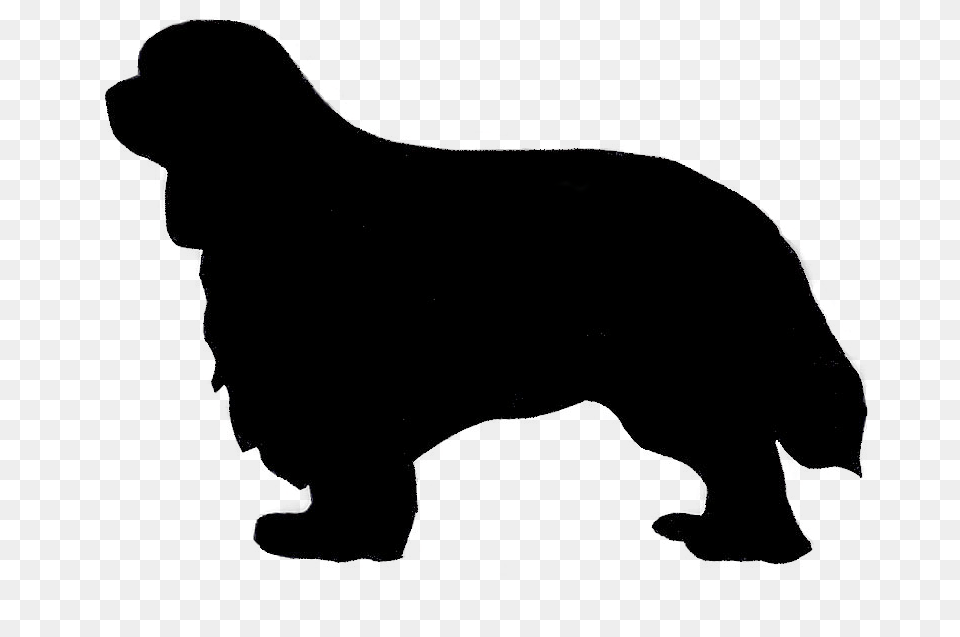 Almost Famous Dog, Silhouette, Person Png