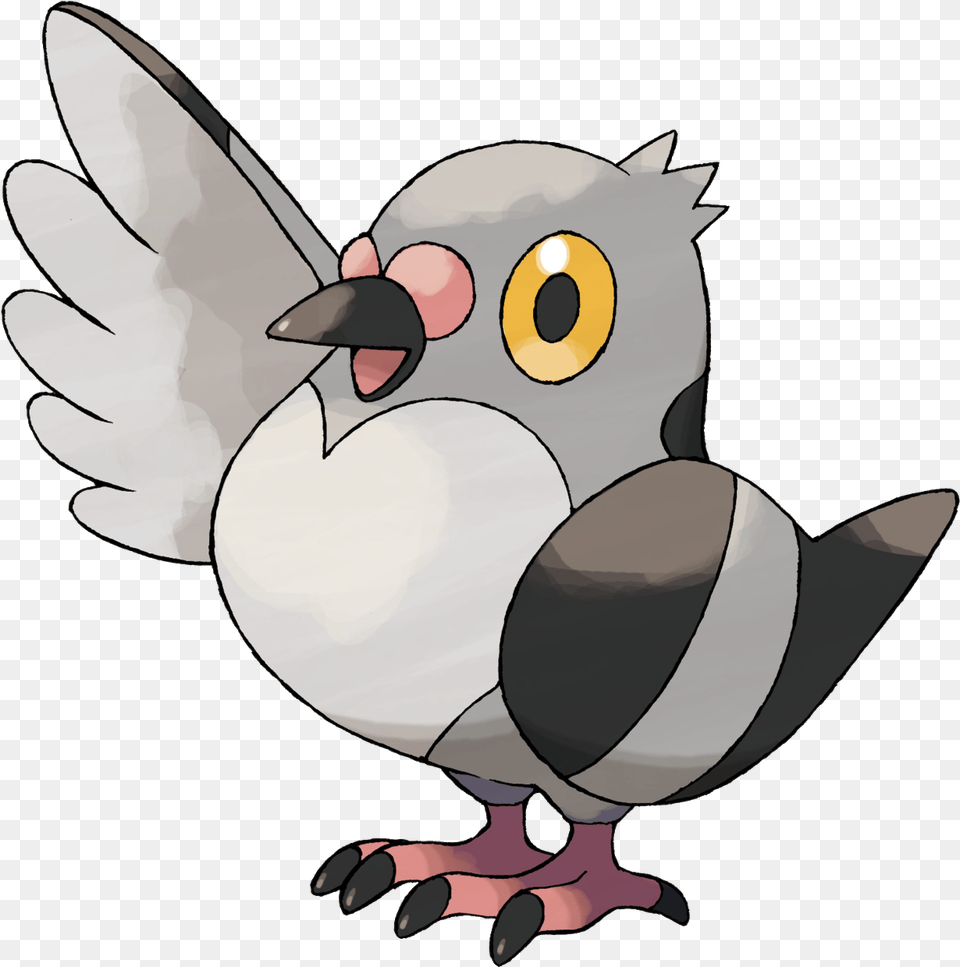 Almost Two Decades After The Misleading Named Pidgey Pigeon Pokemon, Animal, Bird, Vulture, Fish Png