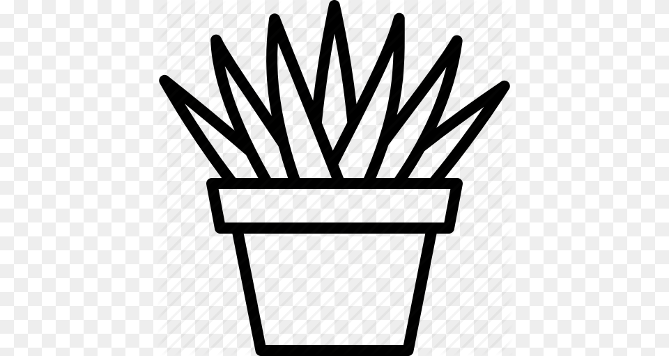 Aloe Aristata Houseplant Plant Potted Succulent Succulents Icon, Cutlery, Potted Plant, Jar Png Image