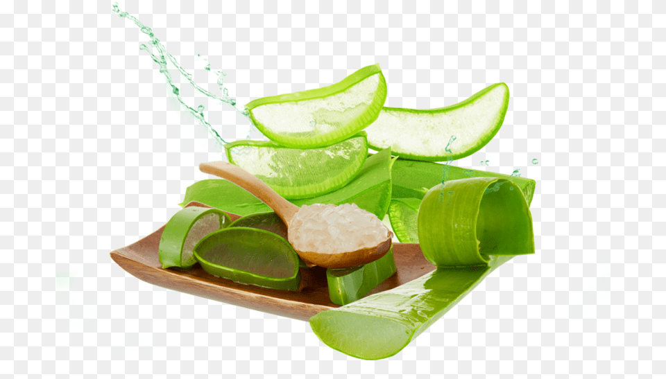 Aloe Photos Aloe Vera File, Weapon, Sliced, Knife, Cooking Png