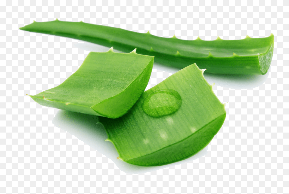 Aloe Pic, Plant, Leaf, Blade, Cooking Free Transparent Png