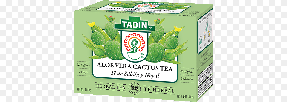 Aloe Tadin Aloe Vera And Cactus, Herbal, Herbs, Plant Png Image