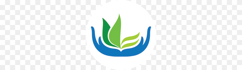 Aloe Vera, Leaf, Logo, Plant Free Png