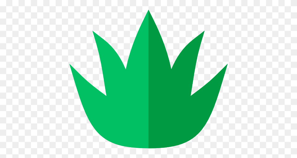 Aloe Vera, Leaf, Plant, Green Free Png Download