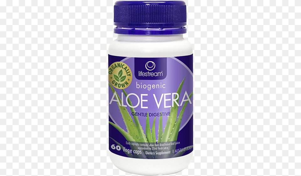 Aloe Vera C60 Aloe Vera, Herbal, Herbs, Plant, Astragalus Free Transparent Png