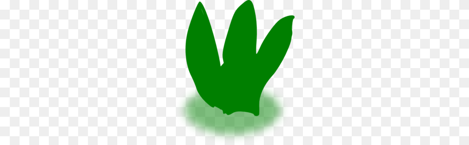 Aloe Vera Clip Art, Green, Leaf, Plant, Clothing Free Png